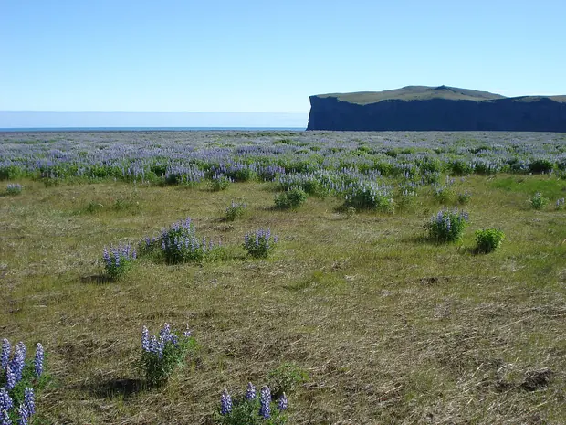 Hjörleifshöfði, Vík and Mýrdalur