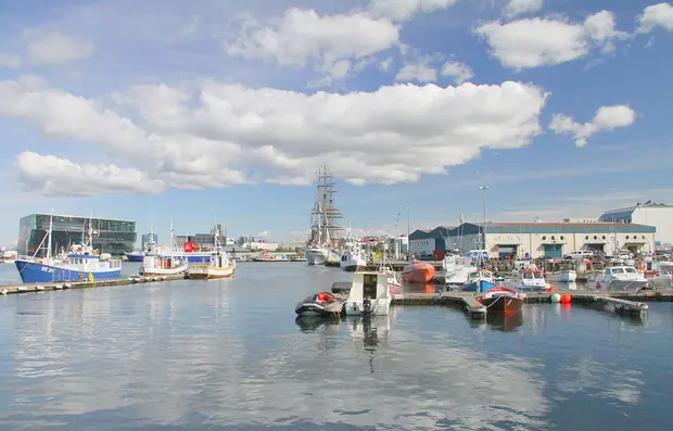Reykjavík, Whale watching from the old harbour