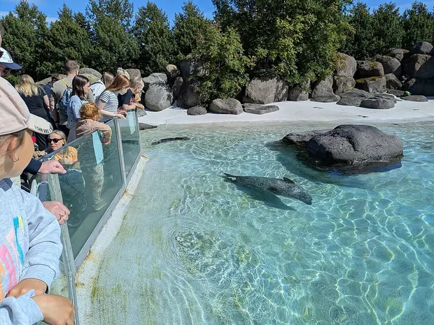 Reykjavík Family Park and Zoo, Family Park & Zoo and Laugardalslaug