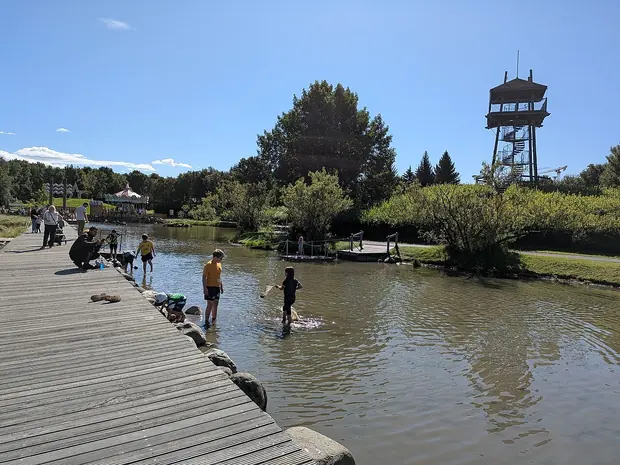 Reykjavík Family Park and Zoo, Farm animals and lakeside baths